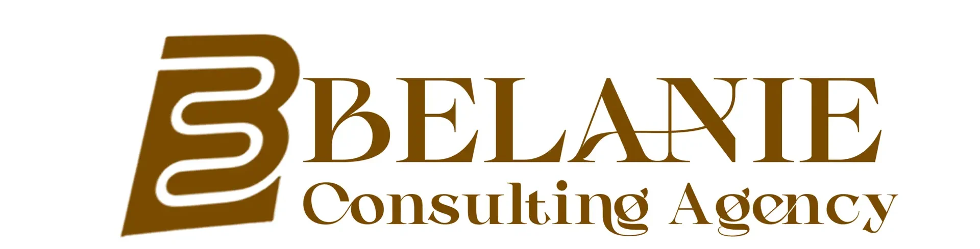 Belanie Consulting Agency