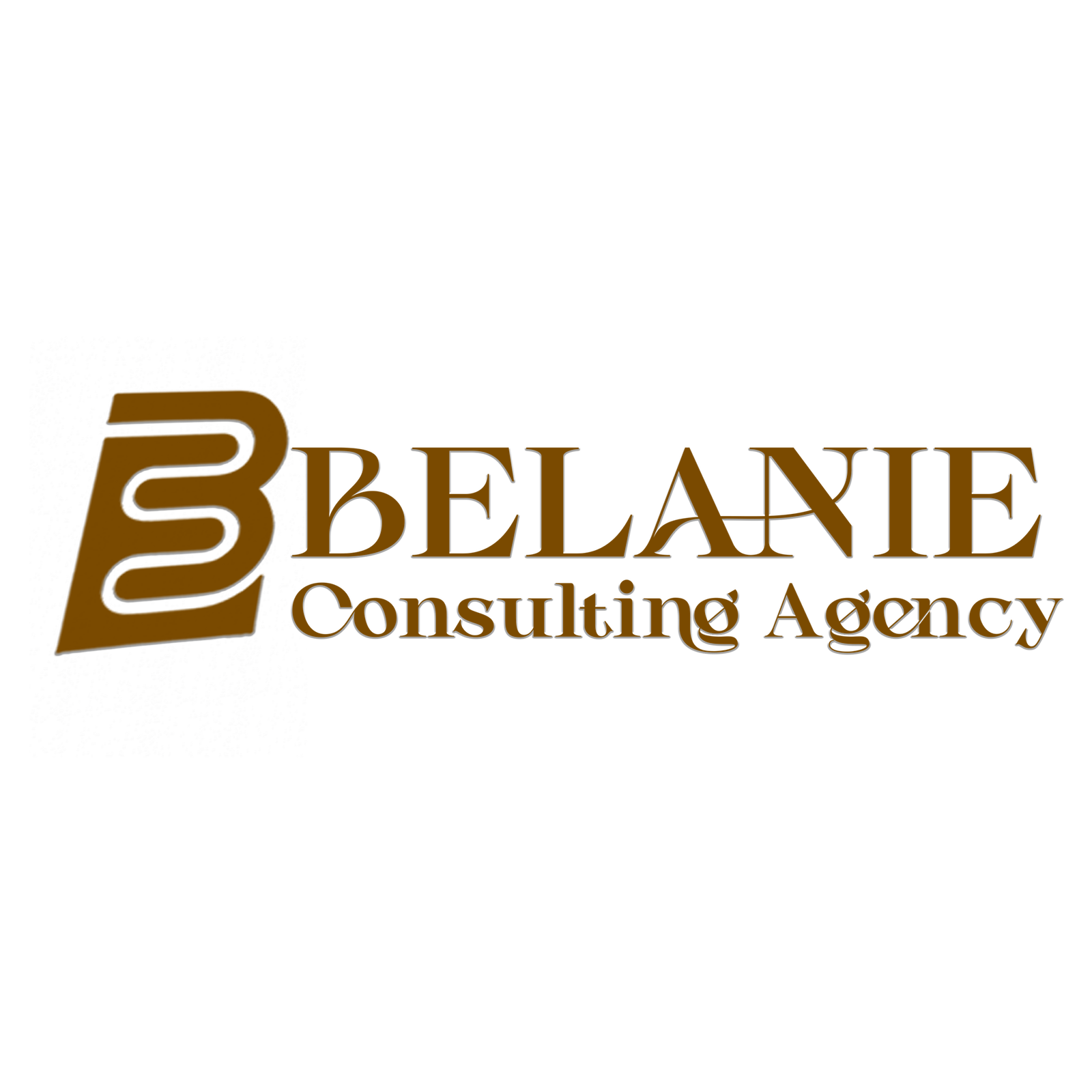 Belanie Consulting Agency